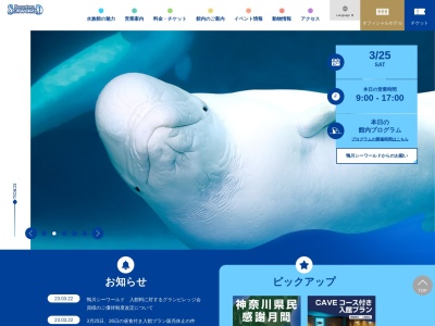 鴨川シーワールド施設課(日本、〒296-0041 千葉県鴨川市東町 東町1464−18)