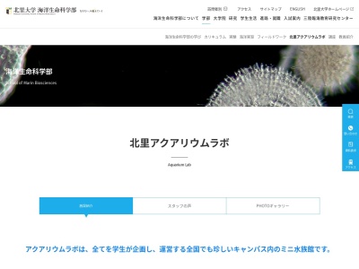 北里大学海洋生命科学部ミニ水族館(日本、〒252-0329 神奈川県相模原市南区北里１丁目１５−１ 北里大学MB号館)