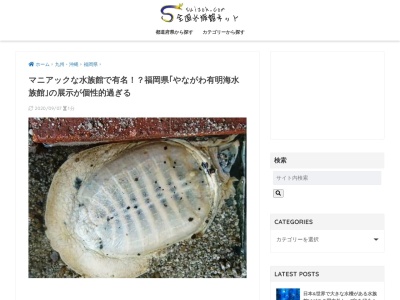 やながわ有明海水族館(日本、〒832-0066 福岡県柳川市稲荷町２９)