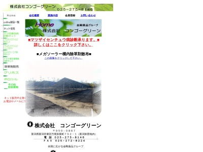 コンゴーグリーン(新潟県新潟市東区竹尾卸新町752-1)