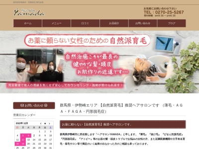 ヘアサロン YAMADA(日本、〒372-0046群馬県伊勢崎市三光町7−24)