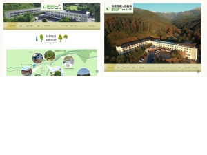 キャンプ場