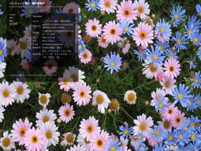 パシフィック通訳・翻訳事務所のクチコミ・評判とホームページ