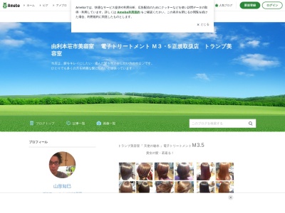 トランプ美容室(日本、〒015-0872秋田県由利本荘市瓦谷地３３−５トランプ美容室)
