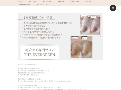オーガニックフェイシャル専門エステ ザエバーグリーン(日本、〒344-0023埼玉県春日部市大枝951−6)