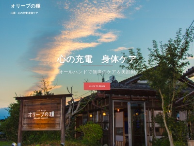 オリーブの種(日本、〒861-0501 熊本県山鹿市山鹿1141)
