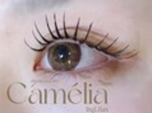 カメリア バイ リラ(Camelia by Lilas)(北海道札幌市中央区南3条西3-10-4 三信ビル6F)