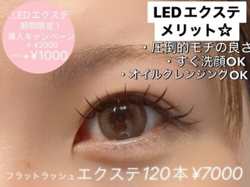 バイオレット(violets)(北海道札幌市厚別区厚別中央2条5-2-25号プラザ六興308号室)