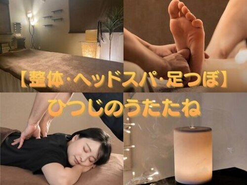 ひつじのうたたね(北海道札幌市中央区南3条西23-1-6エイトビル)