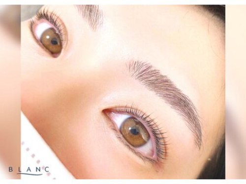 アイラッシュサロン ブラン ドリームタウンALi店(Eyelash Salon Blanc)(青森県青森市浜田3-1-1ドリームタウンAli 1F)