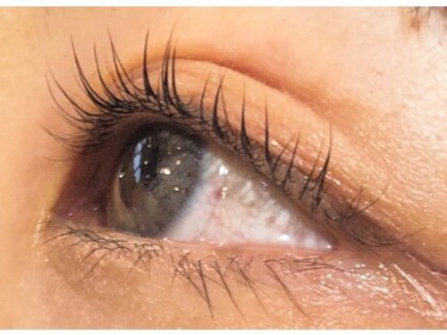 ヘアメイク アース アイラッシュ 盛岡南店(HAIR & MAKE EARTH Eyelash)(岩手県盛岡市本宮7-2-12 橋市盛南ビル2F)