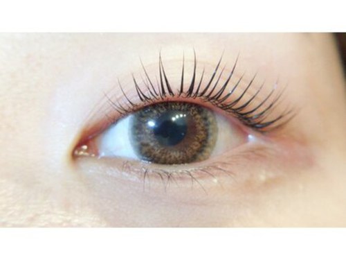 リーフ アイラッシュ(Lief EYELASH)(埼玉県越谷市越ヶ谷1-12-24-202)