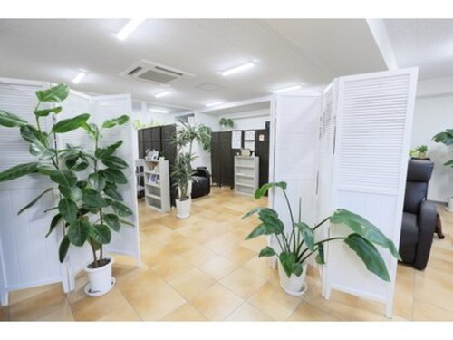 プレミアムウインク 八千代台店(Premium Wink)(千葉県八千代市八千代台南1-3-7 サニービル2F)
