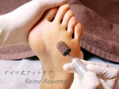 レーヌ青山(Reine Aoyama)(東京都港区南青山2-2-15 ウィン青山816)