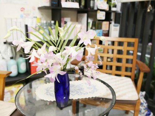 アイラッシュ バイ ヘア アライ(Eyelash by Hair Arai)(東京都新宿区余丁町6-35)