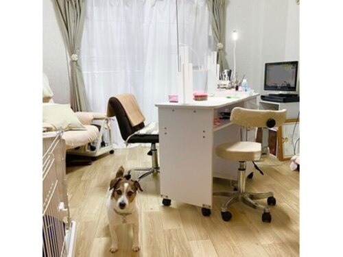 ネイル ドルチェ(NAIL DOLCE)(東京都北区岸町1-3-3 アクアキアーロ201)