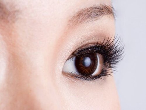 ベルアイラッシュ(Belle Eyelash)(東京都足立区千住仲町40-18)