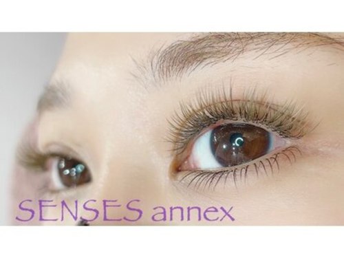センシズアネックス(SENSES annex)(東京都八王子市東町13-12 CRビル3F)