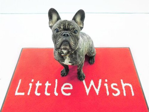 リトルウィッシュ 新横浜店(Little Wish)(神奈川県横浜市港北区新横浜3-7-19鈴喜ビル2F)