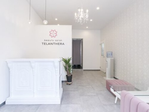 ビューティサロンテランセラ(beauty salon TELANTHERA)(神奈川県横浜市瀬谷区三ツ境111-3 カワサキ店舗101)