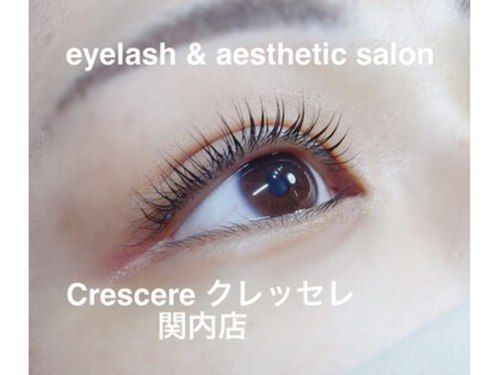 クレッセレ(Crescere)(神奈川県横浜市中区扇町1-1-16-パークフラッツ横浜公園1103)