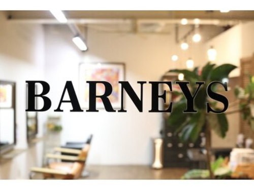 バーニーズ(BARNEYS)(神奈川県相模原市中央区横山3-23-15)