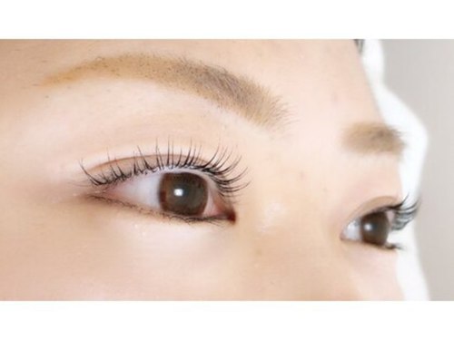 キャンバスアイ(canvas eye)(神奈川県相模原市緑区橋本3-19-17 プリムローズハウス704号室)