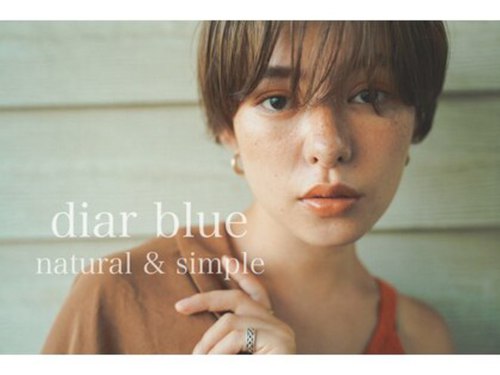 ディアブルー 平塚店(diar blue)(神奈川県平塚市代官町14-2)