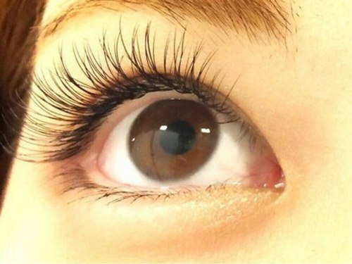 チェルモアイラッシュ 茅ヶ崎店(CHELUMO EYELASH)(神奈川県茅ヶ崎市新栄町7-1岸ビル2F)