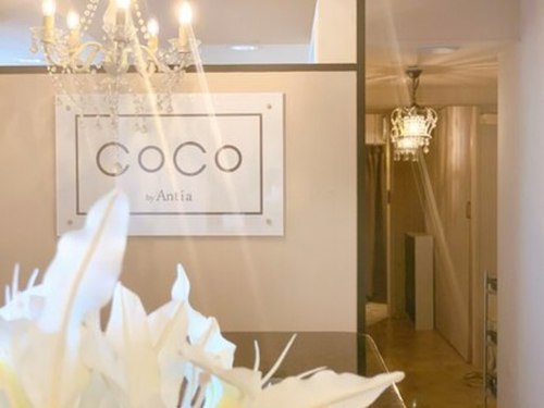 ココ バイ アンティア(CoCo by Antia)(長野県長野市南石堂町1326-1)