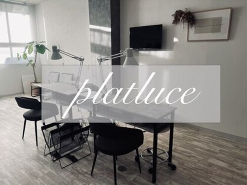 プラルーチェ(Platluce)(岐阜県岐阜市九重町4‐19 九重町マンション1C)
