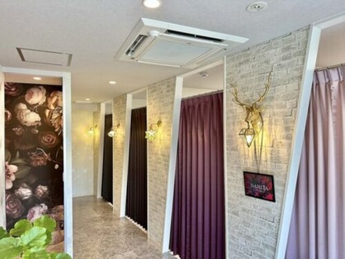 ダリア(DAHLIA)(静岡県沼津市寿町26-24 メルヴェール2)