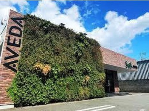 ソイル アヴェダ 大岡店(Soil AVEDA)(静岡県沼津市大岡2470)