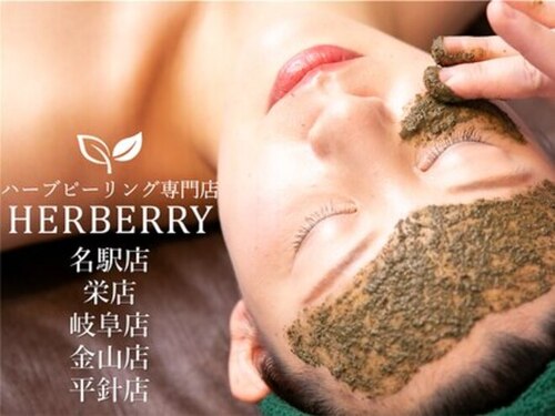ハーバリー ハーブピーリング 名古屋店(HERBERRYハーブピーリング)(愛知県名古屋市中村区名駅3-11-9 JE名駅311ビル501)