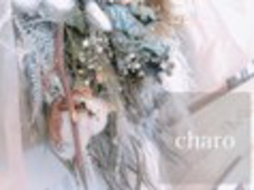 チャロ(charo)(愛知県名古屋市天白区鴻の巣1-1806)