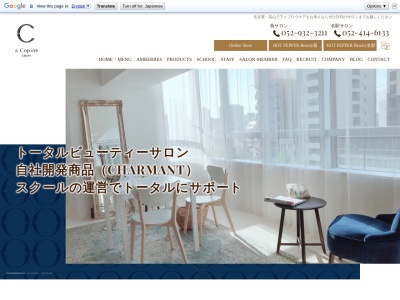 アンバーレス(AmberRes)(愛知県名古屋市東区葵1-2-6 プレミアムコート葵 405)