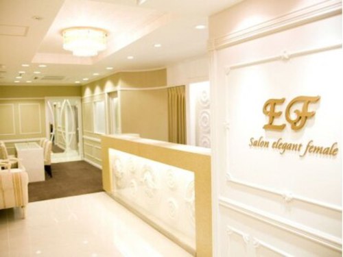 サロンイーエフ 名駅店(salon EF)(愛知県名古屋市中村区名駅3-23-7 ダイヤモンドウェイビル6F)