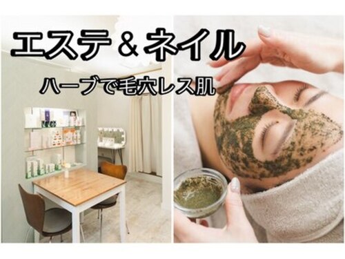 ミント(mint)(愛知県瀬戸市山口町310-1)