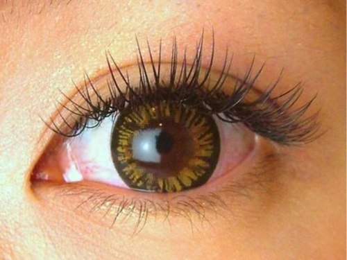 チャンティック(EYE LASH Cantik)(京都府京都市下京区杉屋町284 サンシャトーYMD2F)
