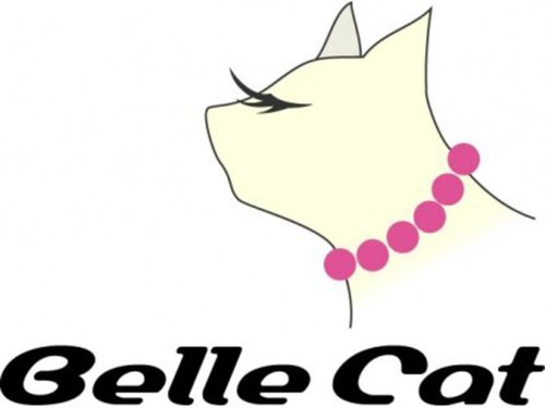 ベルキャット(Belle Cat)(大阪府大阪市福島区福島5-6-35 実宏ビル2F)
