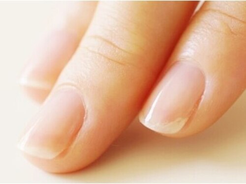 プリナチュール難波店(大阪府大阪市浪速区難波中1-18-11桂ビル2F)