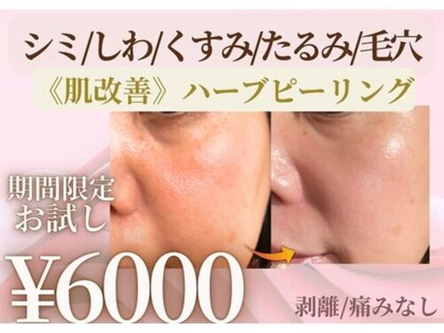 サロン カズリナ(Salon Kazrina)(大阪府大阪市阿倍野区旭町1-1-21 ラシーヌ阿倍野501号室)