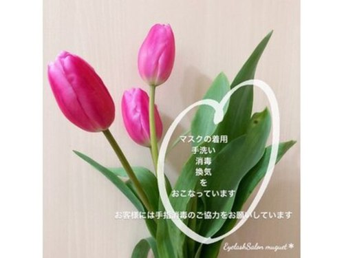 アイラッシュサロンミューゲ (Eyelash Salon muguet)(大阪府泉南市樽井5-30-1)