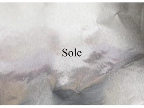 ソル ネイル(Sole Nail)(和歌山県和歌山市黒田102-3 アリスト1F)