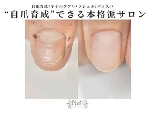 ニコプラス(NICO+)(岡山県倉敷市西阿知町378-5)