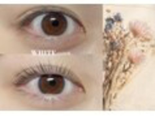 ホワイトアイラッシュ(WHITE eyelash)(広島県広島市中区本通9-6 クレールビル2F)