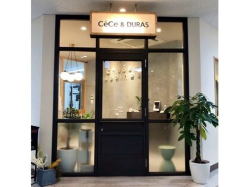 チェセデュラス小倉本店(福岡県北九州市小倉北区吉野町10-19 パークプラザ2F)