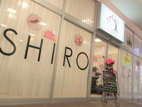 シロカネ(SHIROKANE)(熊本県熊本市南区島町3-1-1)