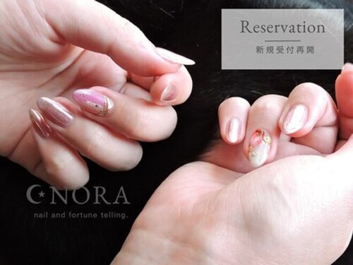 ノラ(NORA)(大分県大分市新川町2-7-4 サンノーブル新川2 202)