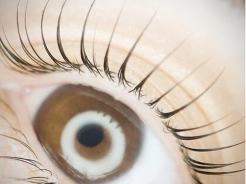 フリルアイビューティー 吉野店(Frill Eye Beauty)(鹿児島県鹿児島市吉野町3152-104)